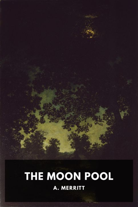 The Moon Pool cover