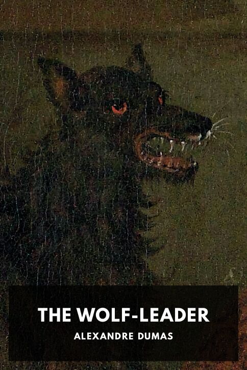 The Wolf-Leader cover