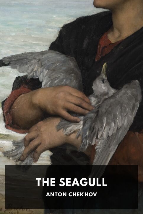 The Seagull cover