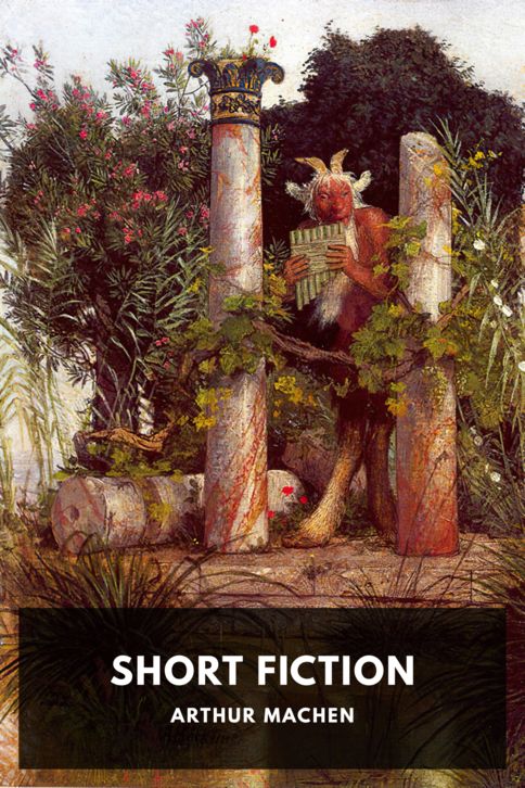 Short Fiction cover