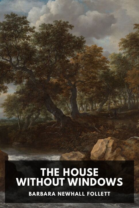 The House Without Windows cover