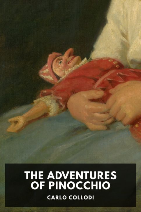 The Adventures of Pinocchio cover
