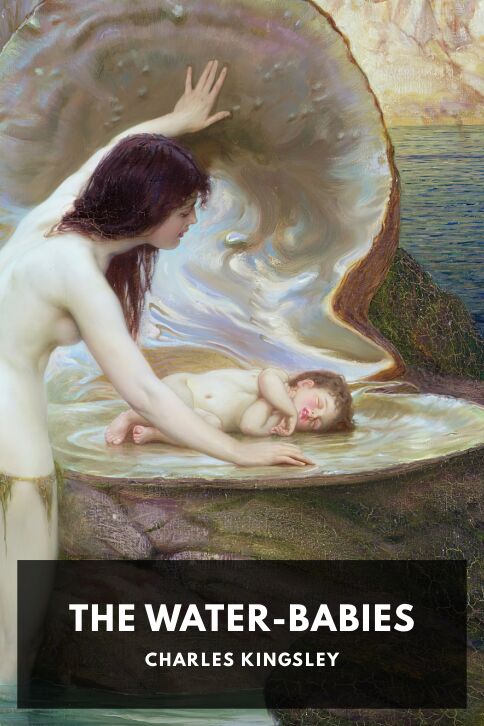 The Water-Babies cover
