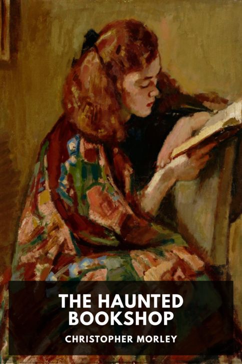 The Haunted Bookshop cover