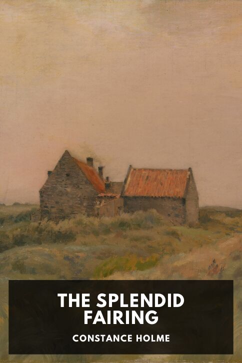 The Splendid Fairing cover