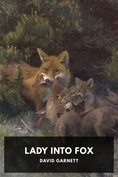 Lady Into Fox cover