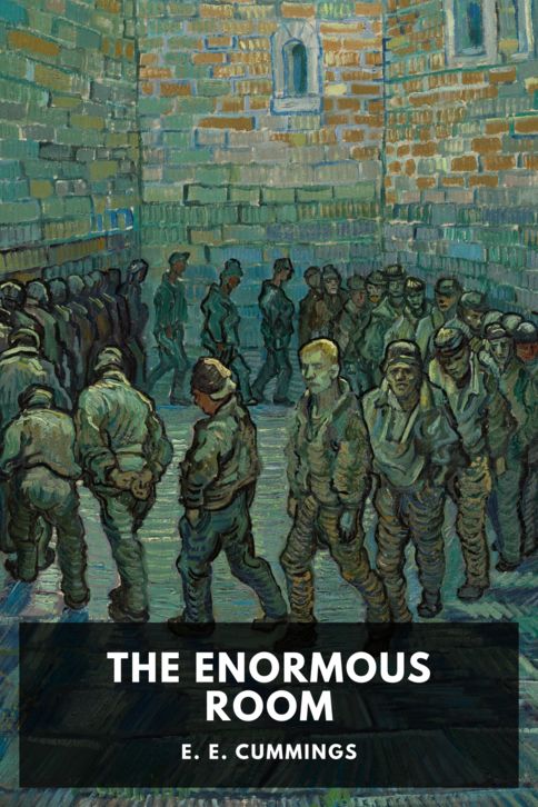 The Enormous Room cover