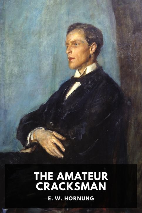 The Amateur Cracksman cover