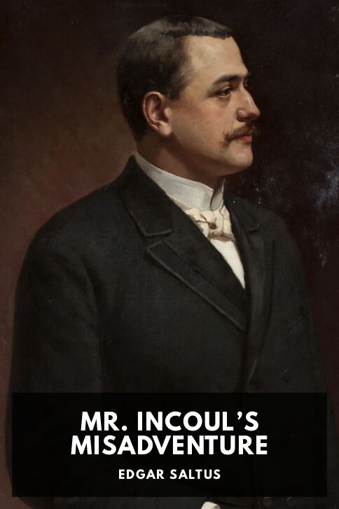Mr. Incoul’s Misadventure cover