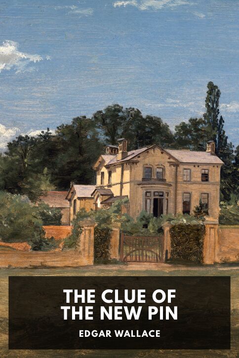 The Clue of the New Pin cover