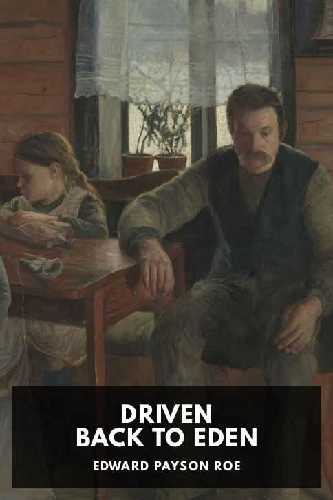 Driven Back to Eden cover