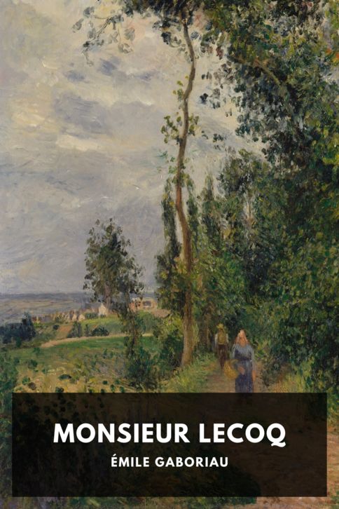 Monsieur Lecoq cover