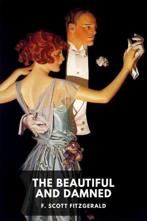 The Beautiful and Damned cover