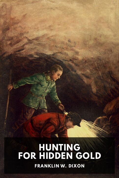 Hunting for Hidden Gold cover