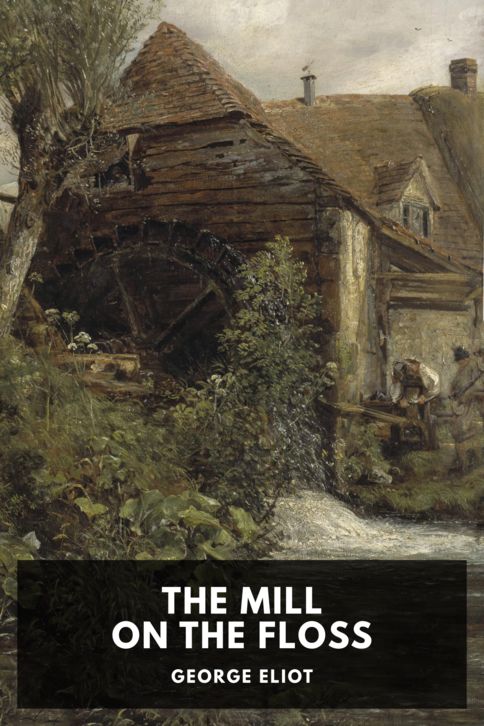 The Mill on the Floss cover