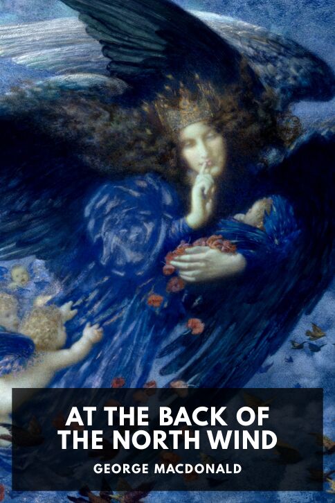 At the Back of the North Wind cover