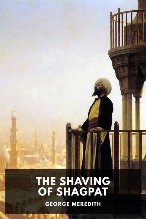 The Shaving of Shagpat cover
