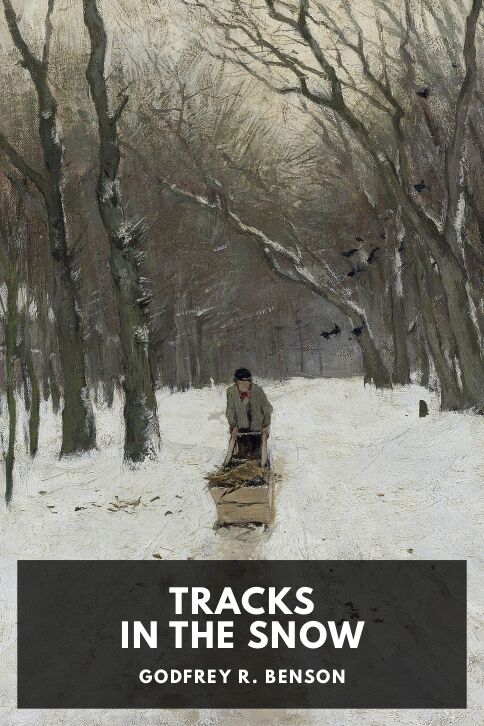 Tracks in the Snow cover