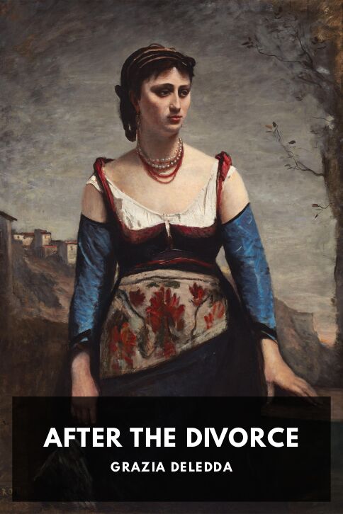 After the Divorce cover