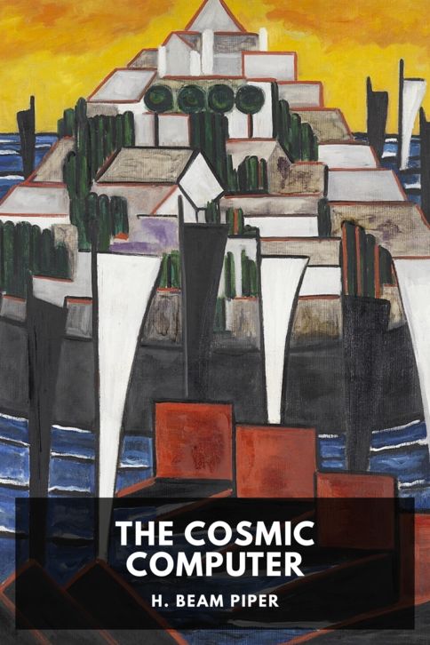 The Cosmic Computer cover