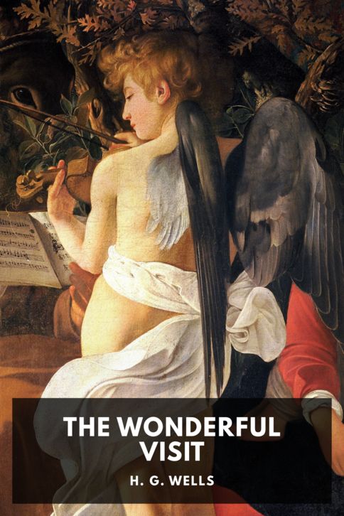 The Wonderful Visit cover