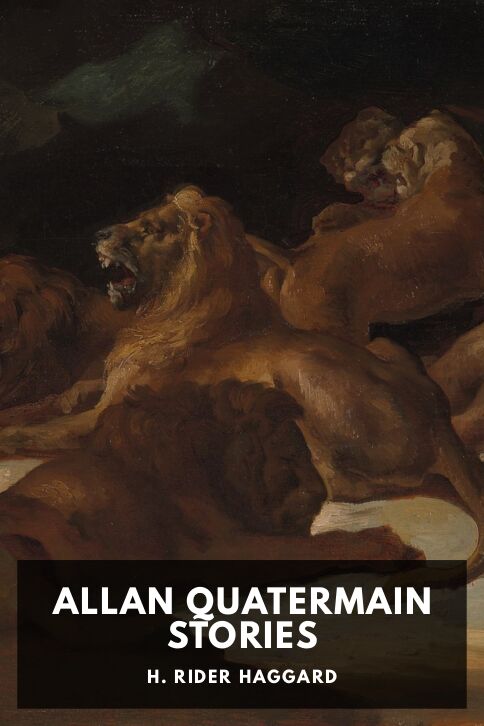 Allan Quatermain Stories cover