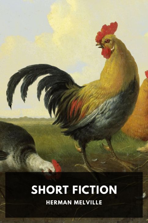 Short Fiction cover
