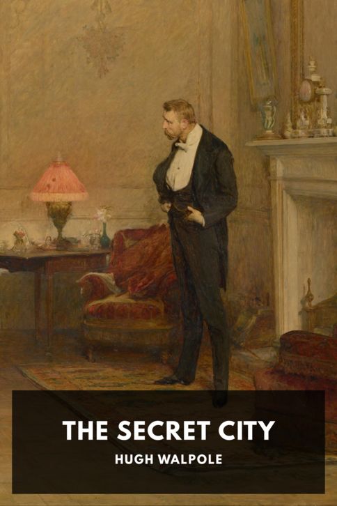 The Secret City cover