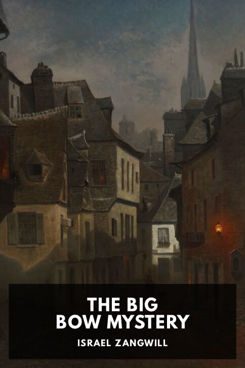 The Big Bow Mystery cover