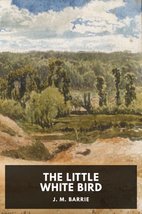 The Little White Bird cover