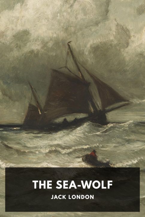 The Sea-Wolf cover