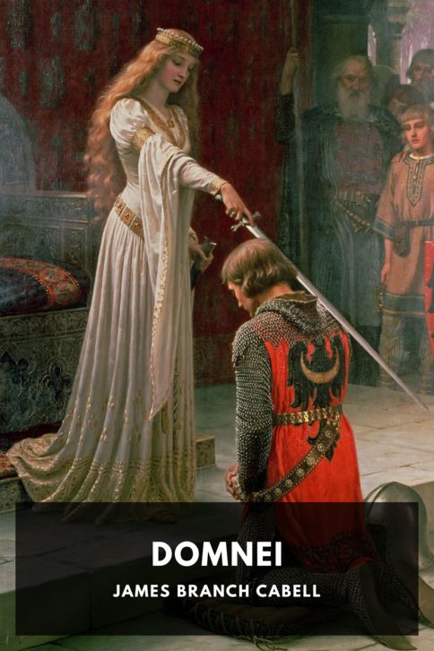 Domnei cover
