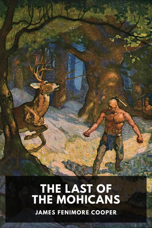 The Last of the Mohicans cover