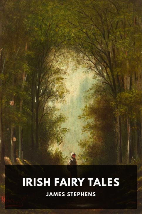 Irish Fairy Tales cover