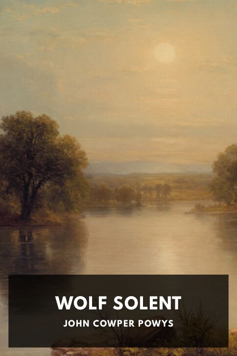 Wolf Solent cover