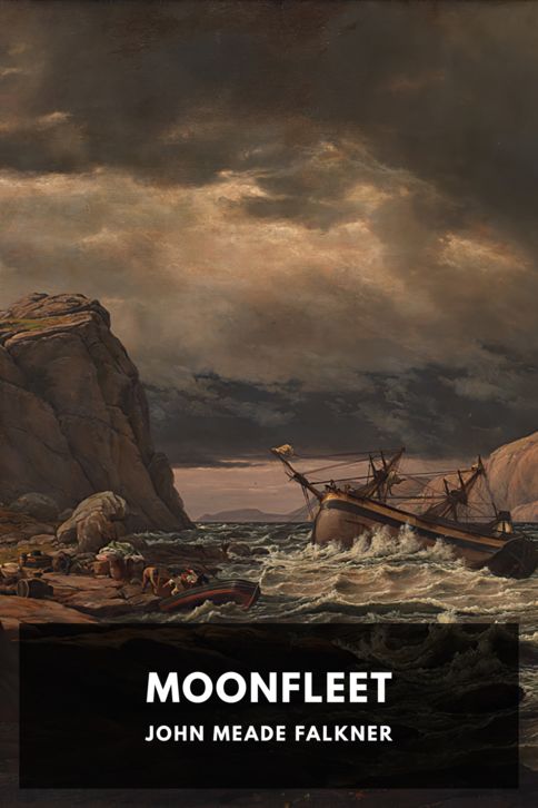 Moonfleet cover