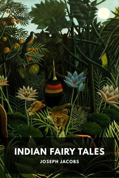 Indian Fairy Tales cover