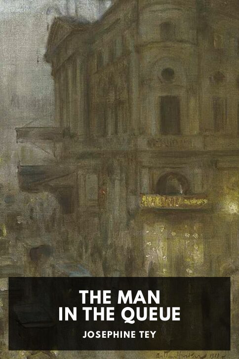 The Man in the Queue cover
