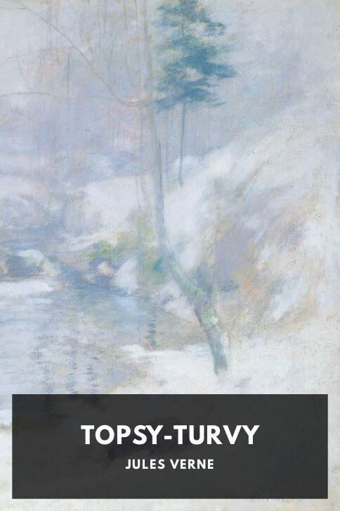 Topsy-Turvy cover