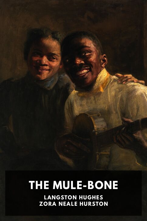 The Mule-Bone cover