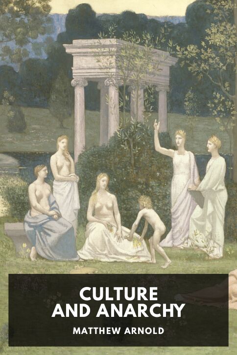 Culture and Anarchy cover
