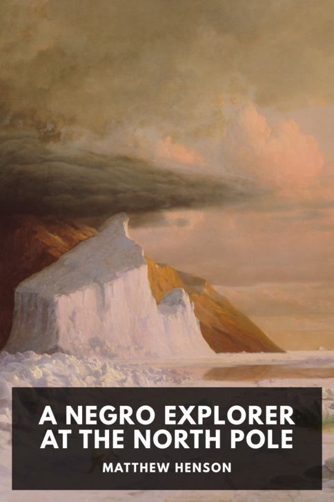 A Negro Explorer at the North Pole cover