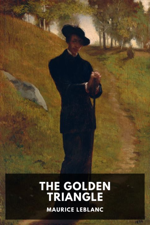 The Golden Triangle cover