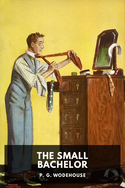 The Small Bachelor cover