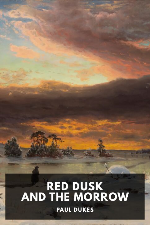 Red Dusk and the Morrow cover