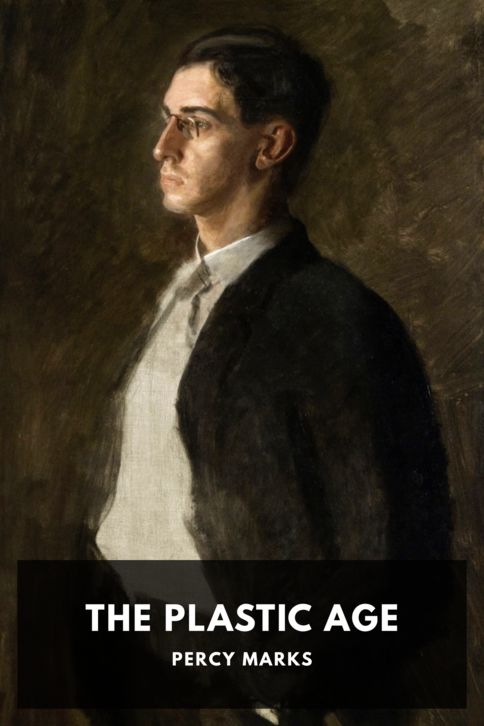 The Plastic Age cover