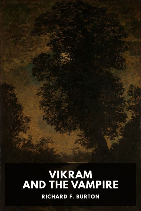 Vikram and the Vampire cover