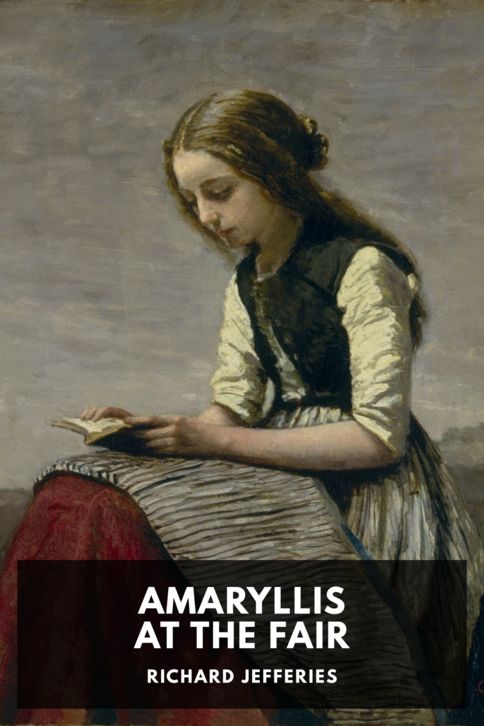 Amaryllis at the Fair cover