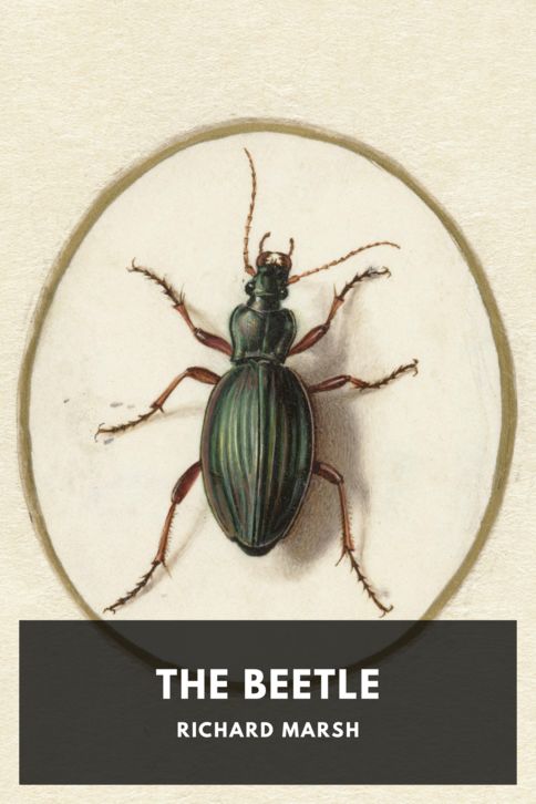 The Beetle cover