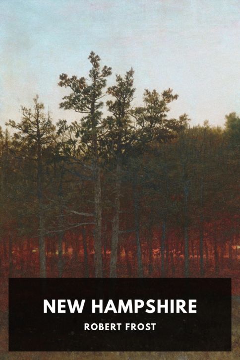 New Hampshire cover